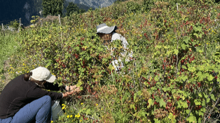 lean dans les champs